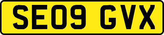 SE09GVX