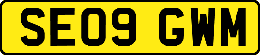 SE09GWM