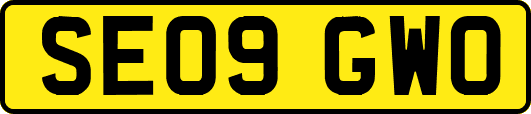 SE09GWO