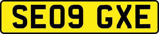 SE09GXE