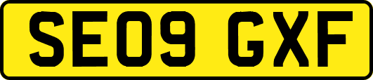 SE09GXF