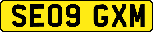 SE09GXM