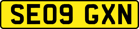 SE09GXN