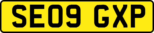 SE09GXP
