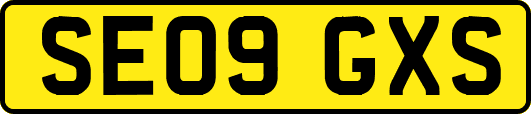 SE09GXS