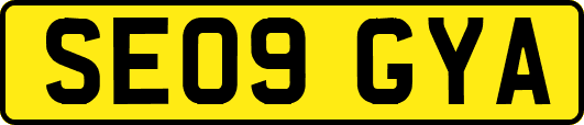 SE09GYA