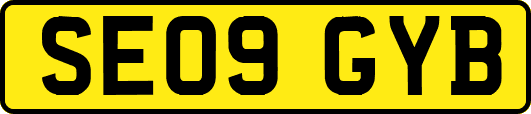 SE09GYB