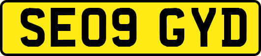 SE09GYD