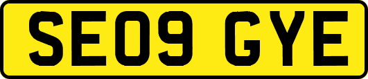 SE09GYE