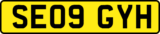 SE09GYH