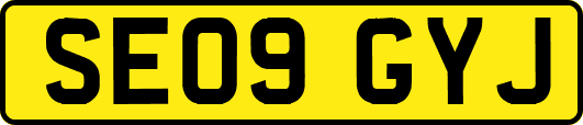 SE09GYJ