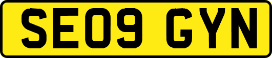 SE09GYN