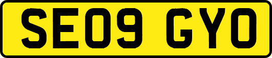 SE09GYO