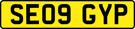 SE09GYP