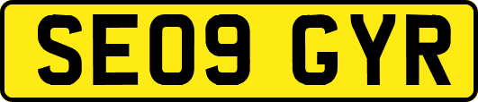 SE09GYR