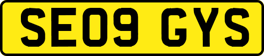 SE09GYS
