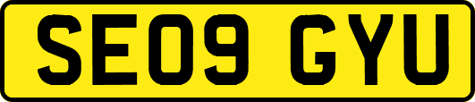 SE09GYU