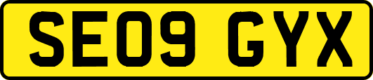 SE09GYX