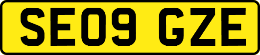 SE09GZE