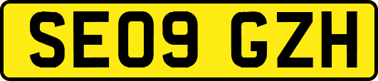 SE09GZH