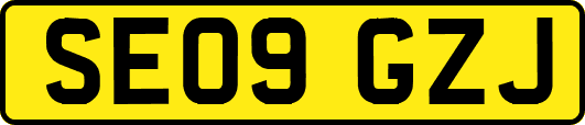 SE09GZJ
