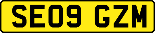 SE09GZM