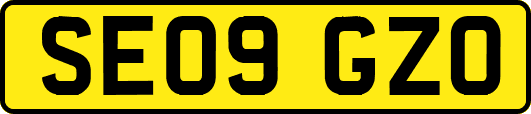 SE09GZO