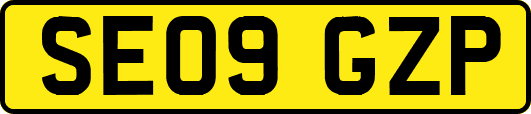SE09GZP