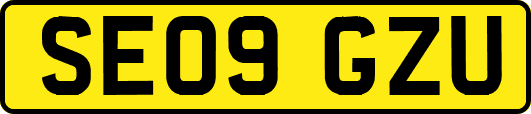 SE09GZU