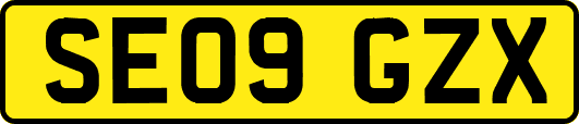 SE09GZX