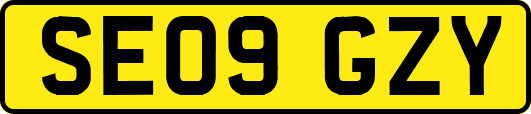 SE09GZY