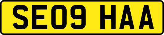 SE09HAA