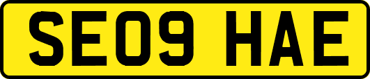 SE09HAE