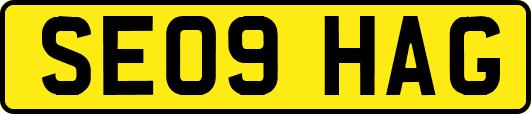 SE09HAG