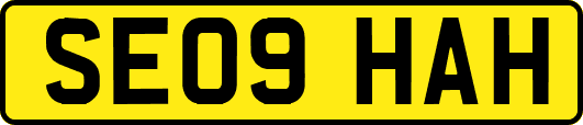 SE09HAH