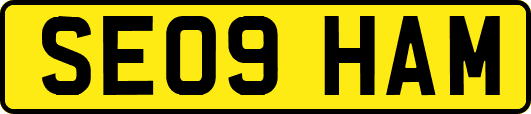 SE09HAM
