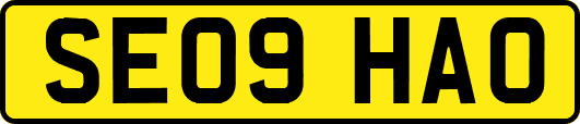 SE09HAO