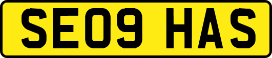 SE09HAS