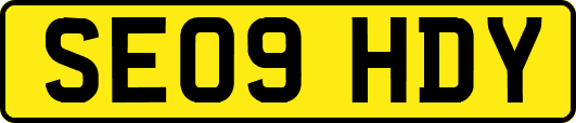 SE09HDY