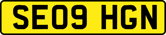 SE09HGN