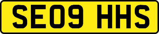 SE09HHS