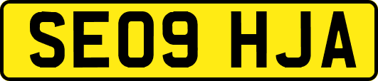 SE09HJA