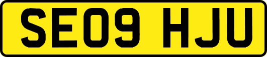 SE09HJU