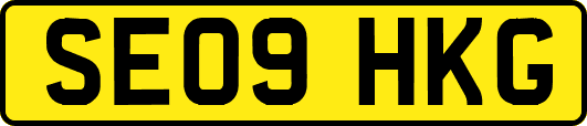 SE09HKG