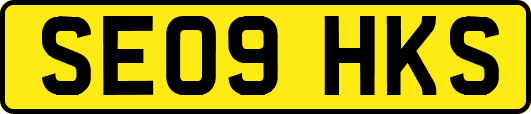 SE09HKS