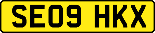 SE09HKX