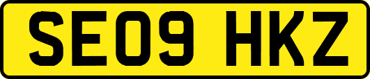 SE09HKZ