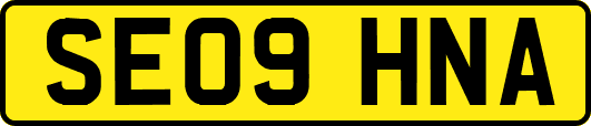 SE09HNA