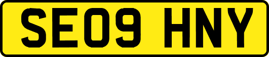 SE09HNY