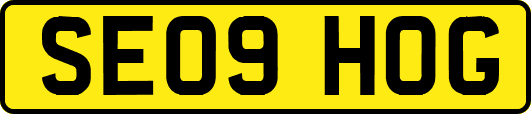 SE09HOG